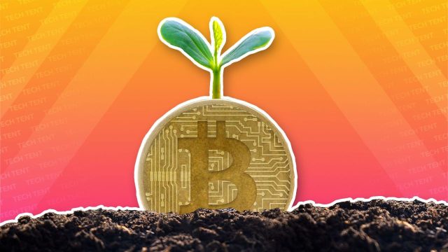 zold-bitcoin zöld bitcoin